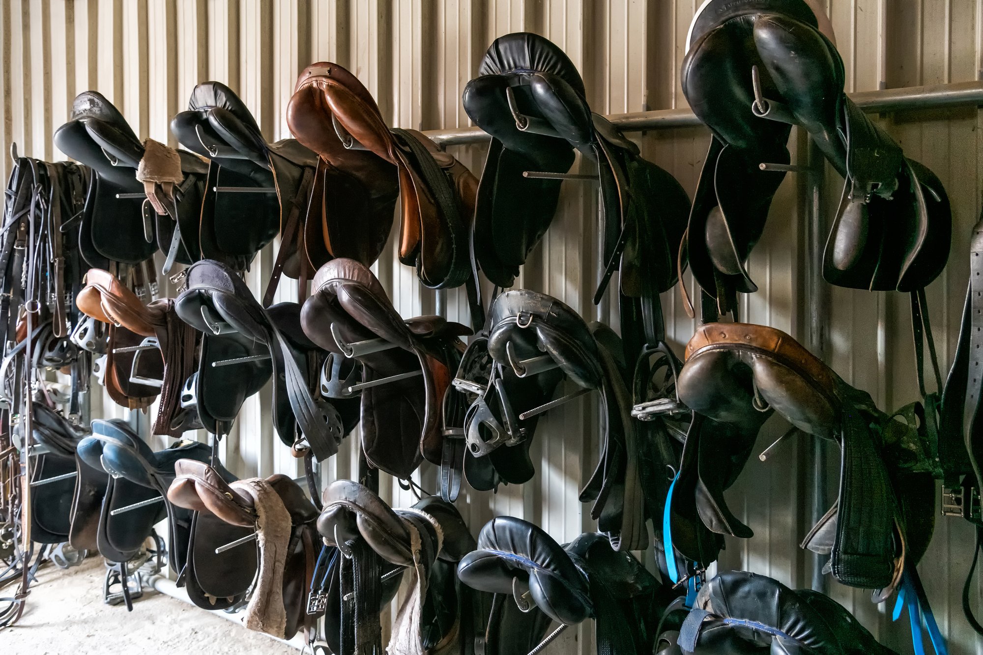 Horse-saddles-hanging-on-wall-1253282